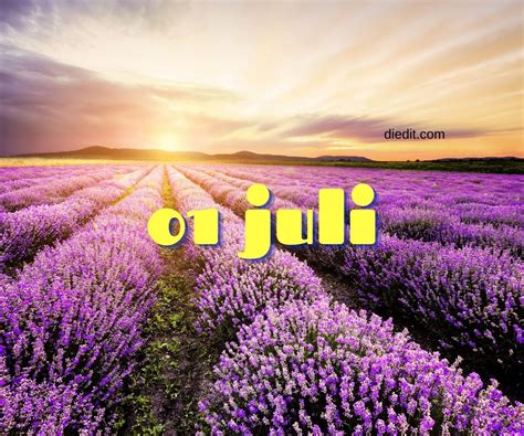 Lahir 1 Juli – Ini Sifat, Zodiak, Cinta & Karir yang Cocok.